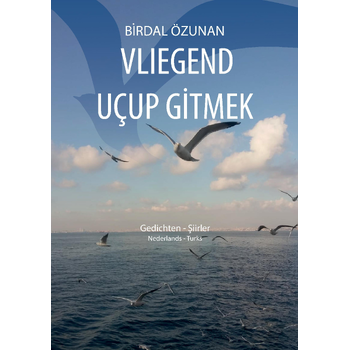 Vliegend uçup gitmek (Paperback) bij Singel 344