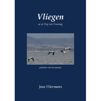 Vliegen (Paperback) bij Singel 344