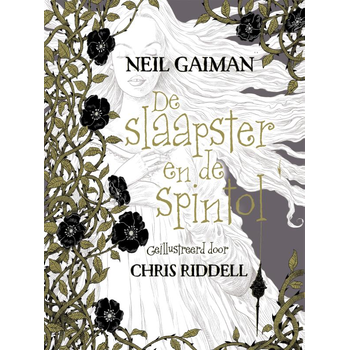 De slaapster en de spintol (Hardback) bij Singel 344
