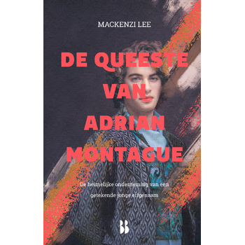 De queeste van Adrian Montague (Hardback) bij Singel 344