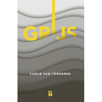 Grijs (Hardback) bij Singel 344
