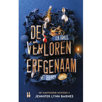 De verloren erfgenaam (Paperback) bij Singel 344