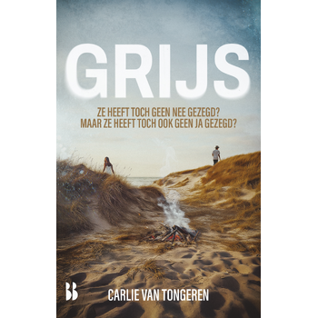 Grijs (Paperback) bij Singel 344