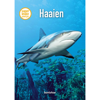 Haaien (Hardback) bij Singel 344