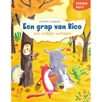 Een grap van Rico (Hardback) bij Singel 344
