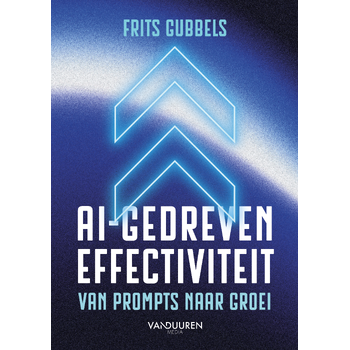 AI-gedreven effectiviteit (Paperback) bij Singel 344