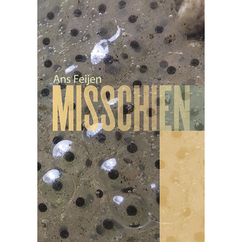 Misschien (Paperback) bij Singel 344