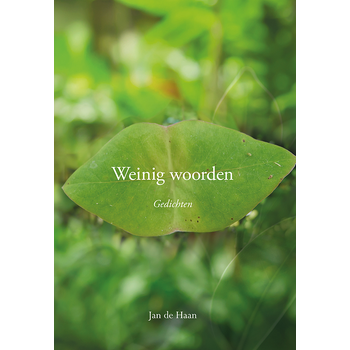 Weinig woorden (Paperback) bij Singel 344