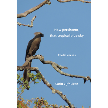 How persistent, that tropical blue sky (Paperback) bij Singel 344