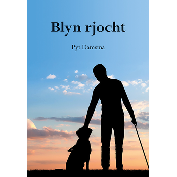 Blyn rjocht (Paperback) bij Singel 344