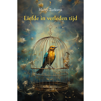 Liefde in verleden tijd (Paperback) van Harry Turksma