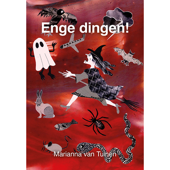 Enge dingen (Paperback) bij Singel 344