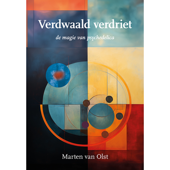 Verdwaald verdriet (Paperback) bij Singel 344