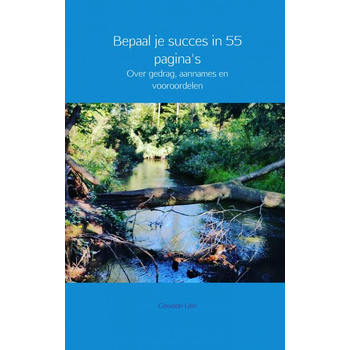 Bepaal je succes in 55 pagina's (Paperback) bij Singel 344