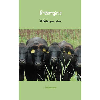 Dreamgirls (Paperback) bij Singel 344