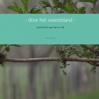 - door het woesteland - (Paperback) bij Singel 344