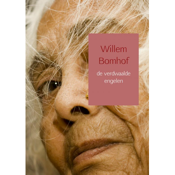 de verdwaalde engelen (Paperback) bij Singel 344