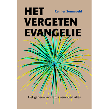 Het vergeten evangelie (Paperback) bij Singel 344