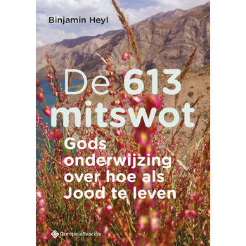 De 613 mitswot (Paperback) bij Singel 344