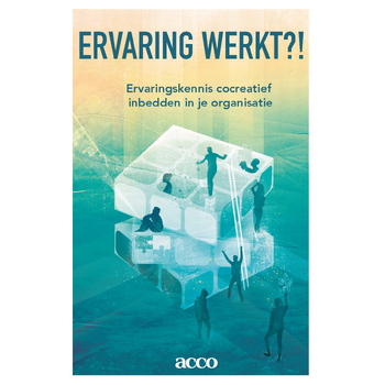 Ervaring werkt (Paperback) bij Singel 344