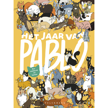 Het jaar van Pablo (Hardback) bij Singel 344