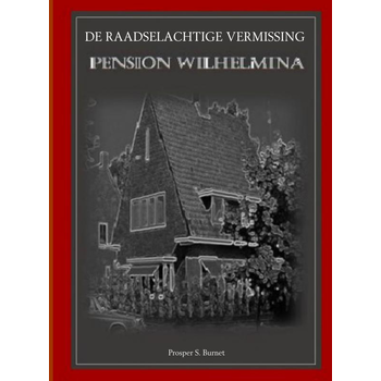 DE RAADSELACHTIGE VERMISSING (Paperback) bij Singel 344