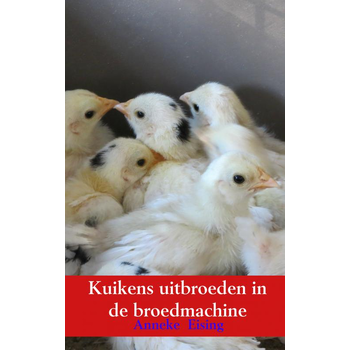 Kuikens uitbroeden in de broedmachine (Paperback) bij Singel 344