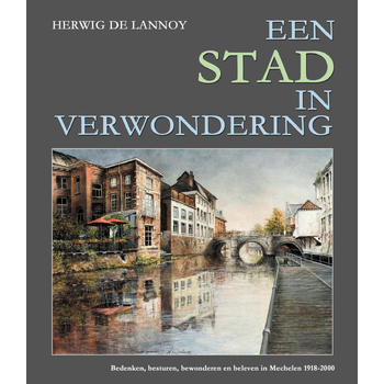 Een stad in verwondering (Hardback) bij Singel 344