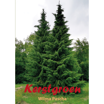 Kerstgroen (Paperback) bij Singel 344