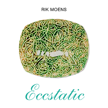 Rik Moens (Paperback) bij Singel 344