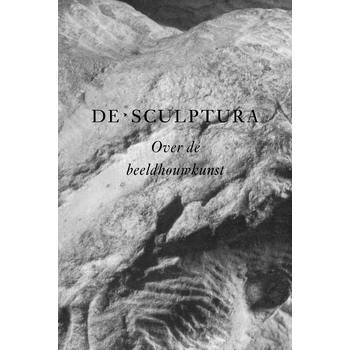 De Sculptura (Paperback) bij Singel 344
