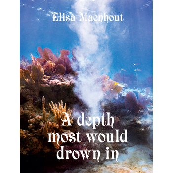 A Dept most would drown in (Hardback) bij Singel 344