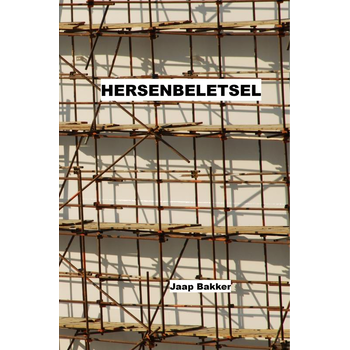 Hersenbeletsel (Paperback) bij Singel 344