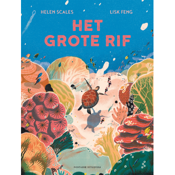 Het grote rif (Hardback) bij Singel 344