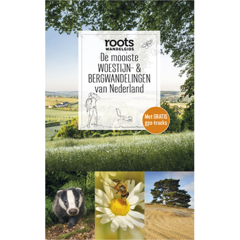 De mooiste woestijn- & bergwandelingen van Nederland (Paperback) bij Singel 344