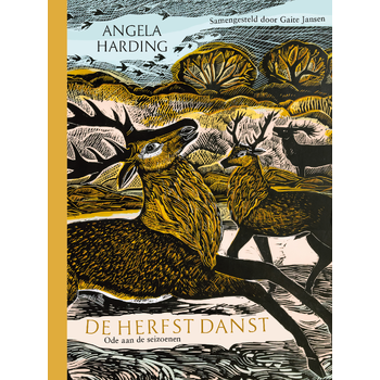 De herfst danst (Hardback) bij Singel 344