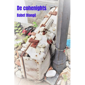 De cohenights (Paperback) bij Singel 344