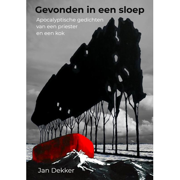 Gevonden in een sloep (Paperback) bij Singel 344
