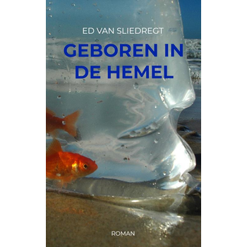Geboren in de hemel (Paperback) bij Singel 344