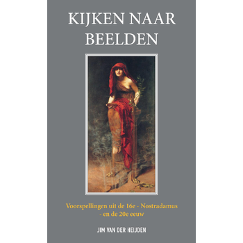 Kijken naar beelden (Paperback) bij Singel 344