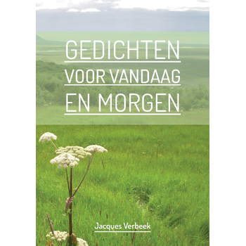 Gedichten voor Vandaag en Morgen (Paperback) bij Singel 344
