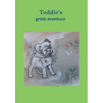Teddies grote avontuur (Paperback) bij Singel 344