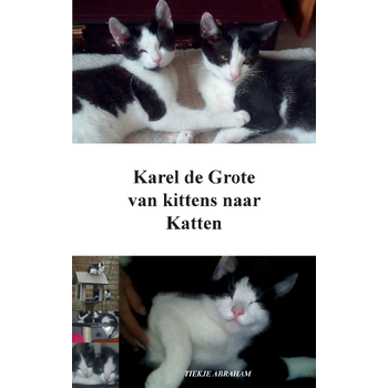 Karel de Grote (Paperback) bij Singel 344