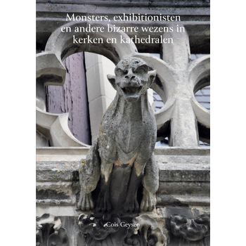 Monsters, exhibitionisten en andere bizarre wezens in kerken en kathedralen (Paperback) bij Singel 344