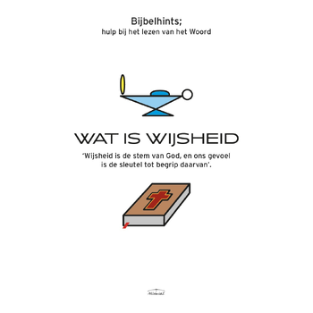 Wat is wijsheid (Paperback) bij Singel 344