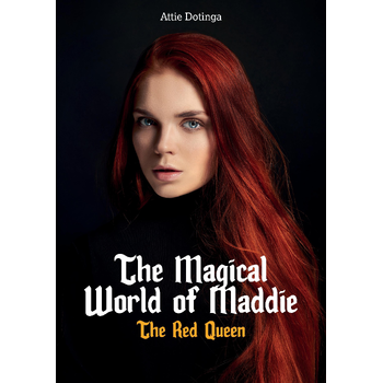 2 (Paperback) bij Singel 344
