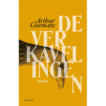 De verkavelingen (Paperback) van Arthur Goemans
