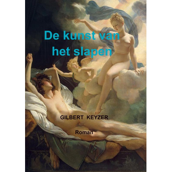 De kunst van het slapen (Paperback) bij Singel 344
