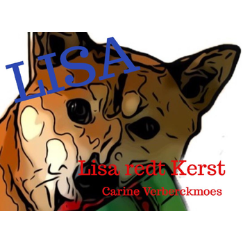 Lisa (Paperback) bij Singel 344