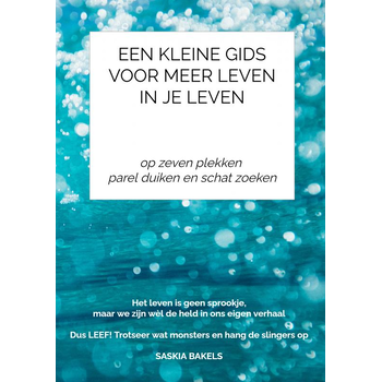 Een Kleine Gids VOOR MEER LEVEN IN JE LEVEN (Paperback) bij Singel 344